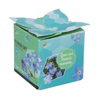 Vergeet-me-niet Flower Gift - Buzzy