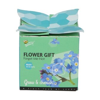 Vergeet-me-niet Flower Gift - Buzzy