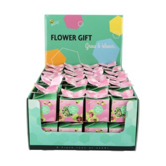 Klavertje 4 Flower Gift - Buzzy