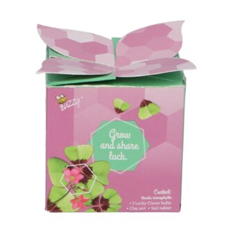 Klavertje 4 Flower Gift - Buzzy