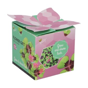 Klavertje 4 Flower Gift - Buzzy