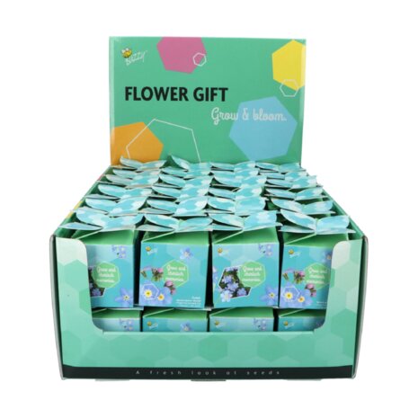 Vergeet-me-niet Flower Gift - Buzzy