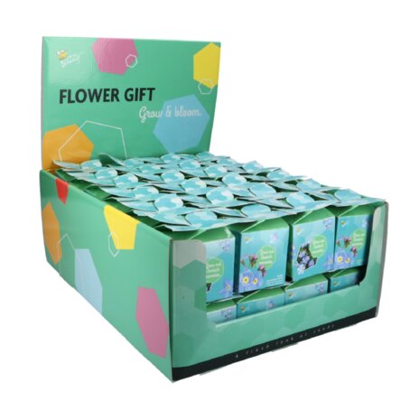 Vergeet-me-niet Flower Gift - Buzzy