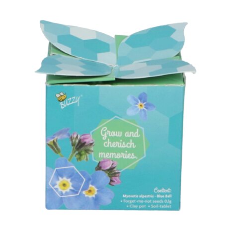 Vergeet-me-niet Flower Gift - Buzzy