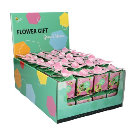 Klavertje 4 Flower Gift - Buzzy