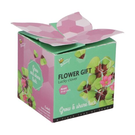 Klavertje 4 Flower Gift - Buzzy