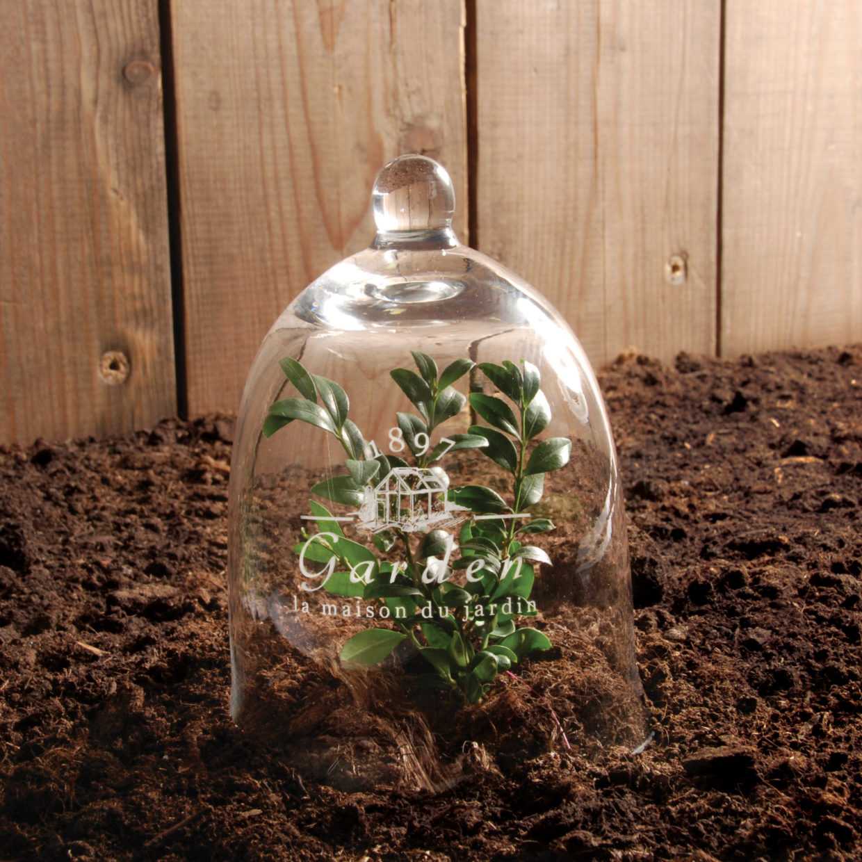 bellen Hoofd cilinder Kweekklok van glas - Tuinspul - webshop voor biologisch tuinieren